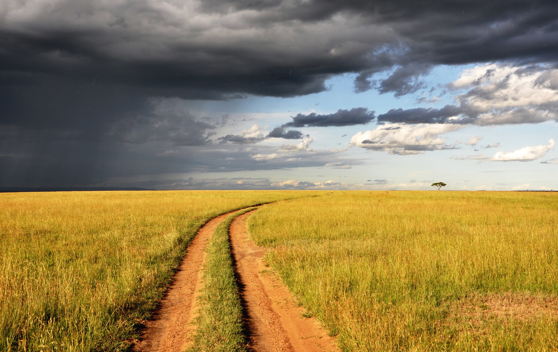 Strategy Analytics defines path to AI vendor and buyer success in new report
