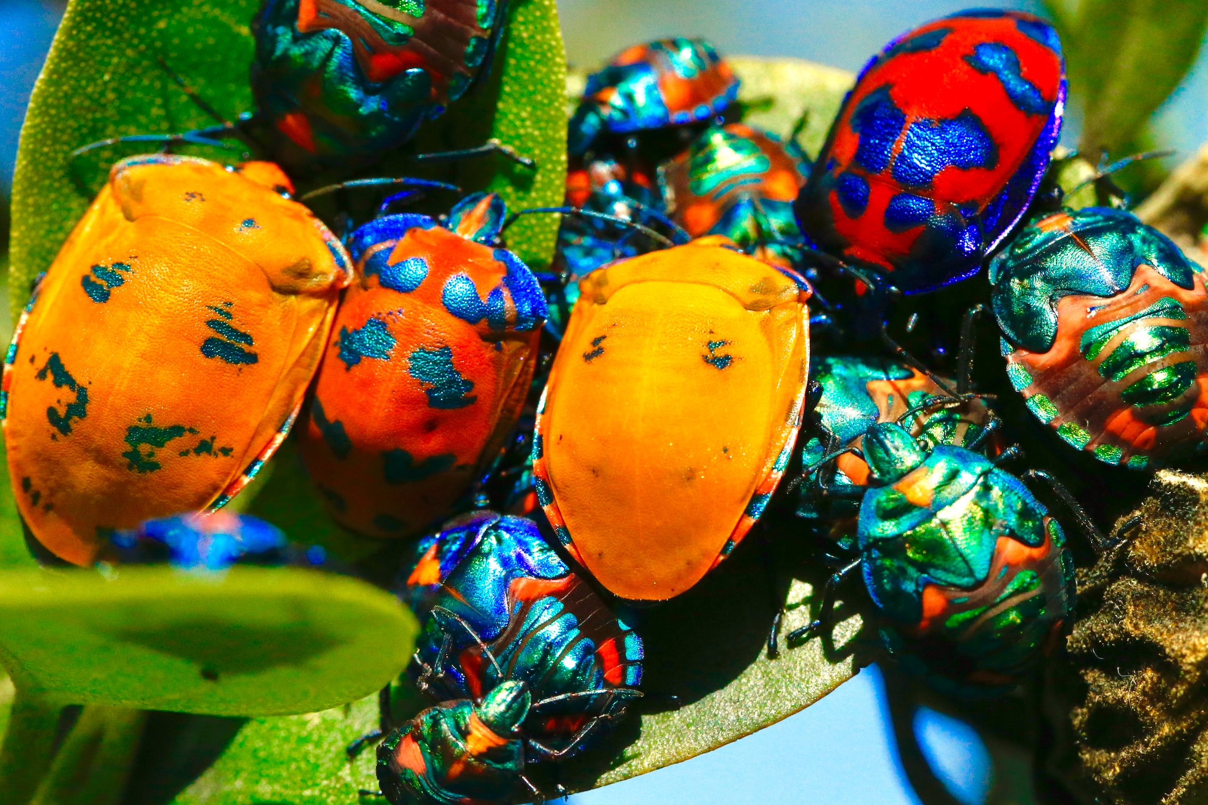 Developers using AI help often produce buggier code